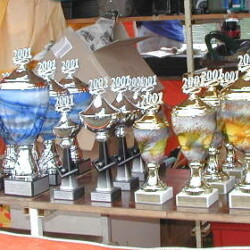 Stuttgart 2001 trophies