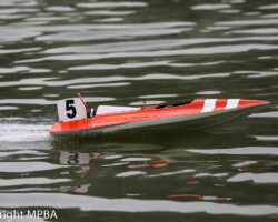 Elmbridge 2019 R6