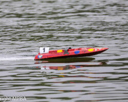 Elmbridge 2019 R6