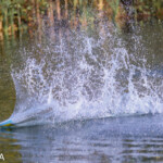 Prestwich Classic 2019 Keith Burgess Crash 3